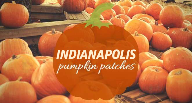 Pumpkin Hunt In These Great Patches Around Indy!