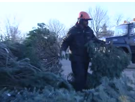 City of Indianapolis reveals Christmas tree disposal options