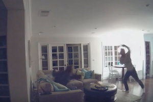 VIDEO: This Family LOSES IT Over An Escaped Spider