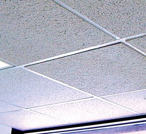 Detroit Students Tired Of Dodging Falling Ceiling Tiles During Class