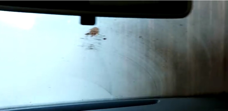 Video: Learn How To Defrost Your Car Windows In Half The Time