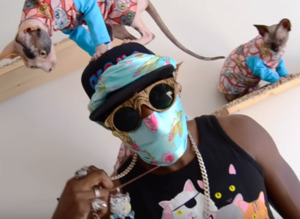 This Guy Who Raps About His Cats Is Totally Purrrfect